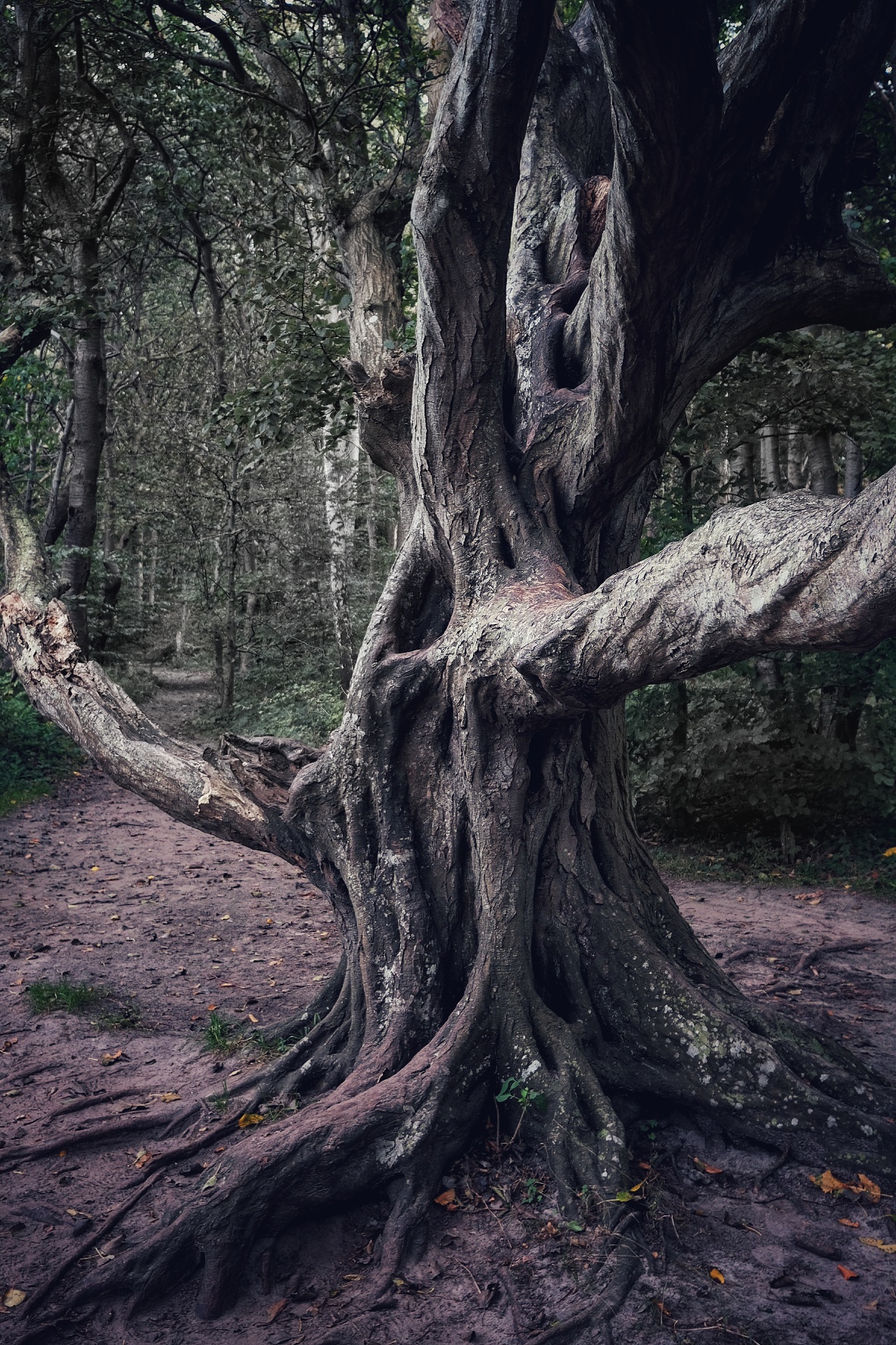 2022 0928 20045100 01