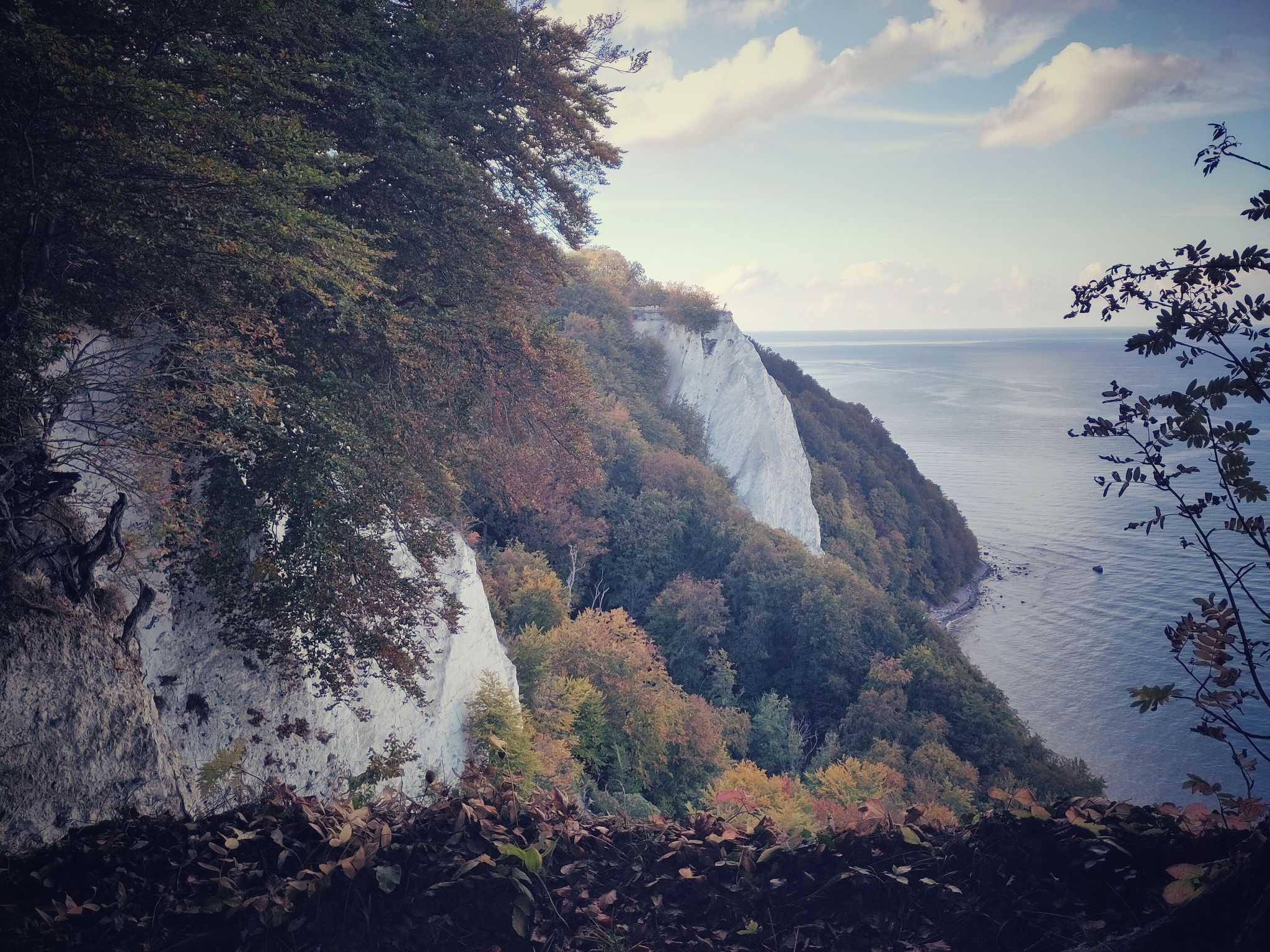 IMG 20220929 163329 01