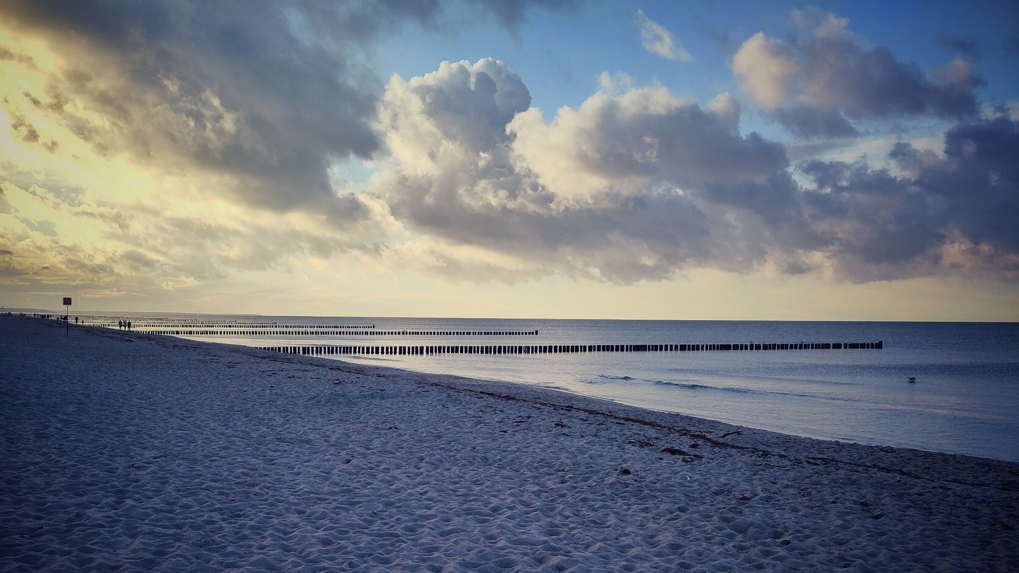 IMG 20221001 174939 01