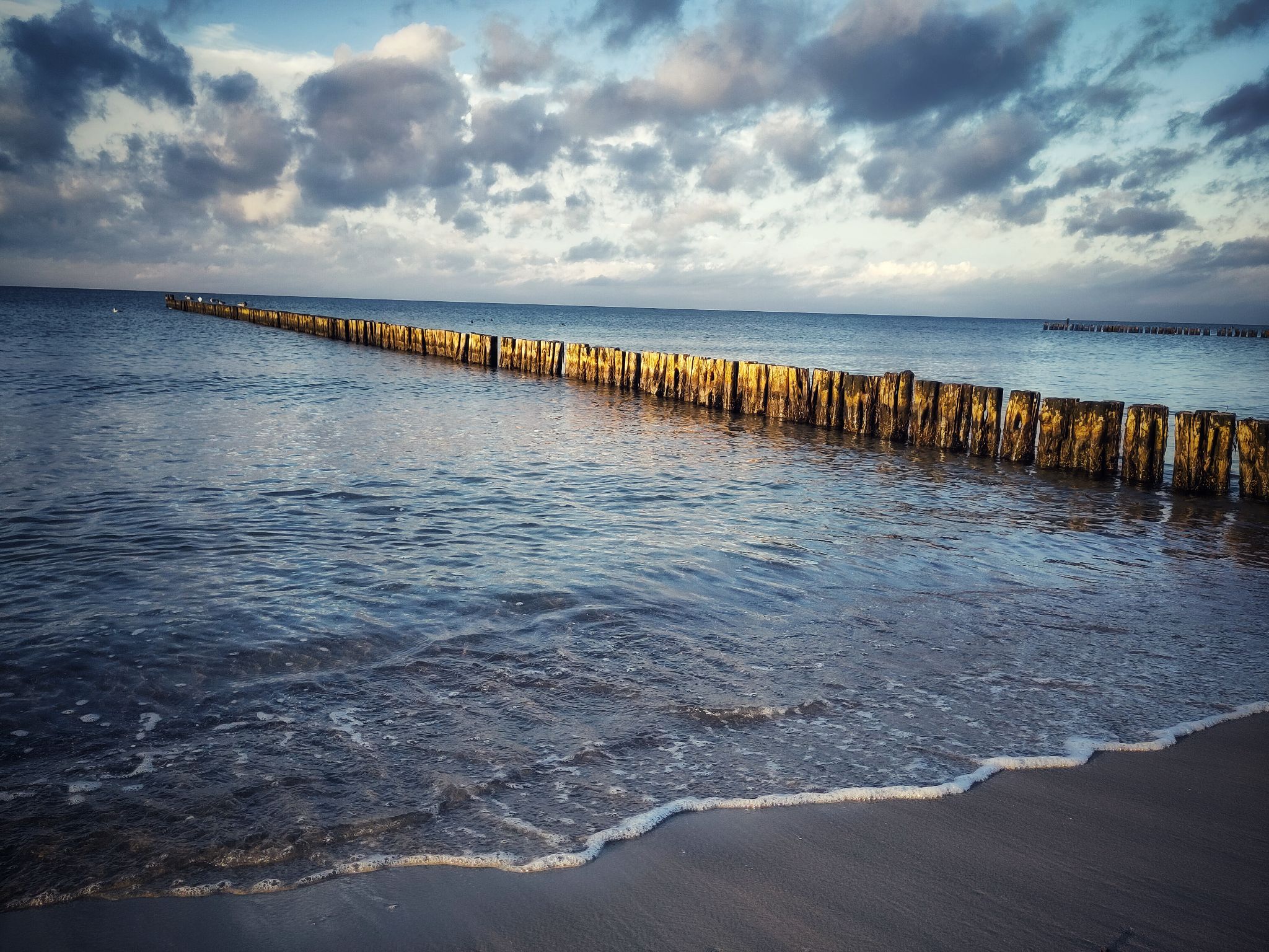 IMG 20221001 175102 01